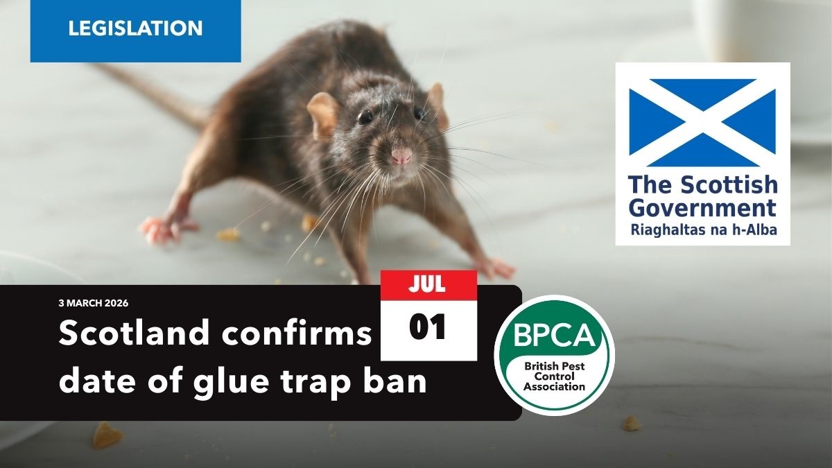 ScotlandconfirmsgluetrapbanfromJuly2026hero ScotlandconfirmsgluetrapbanfromJuly2026hero